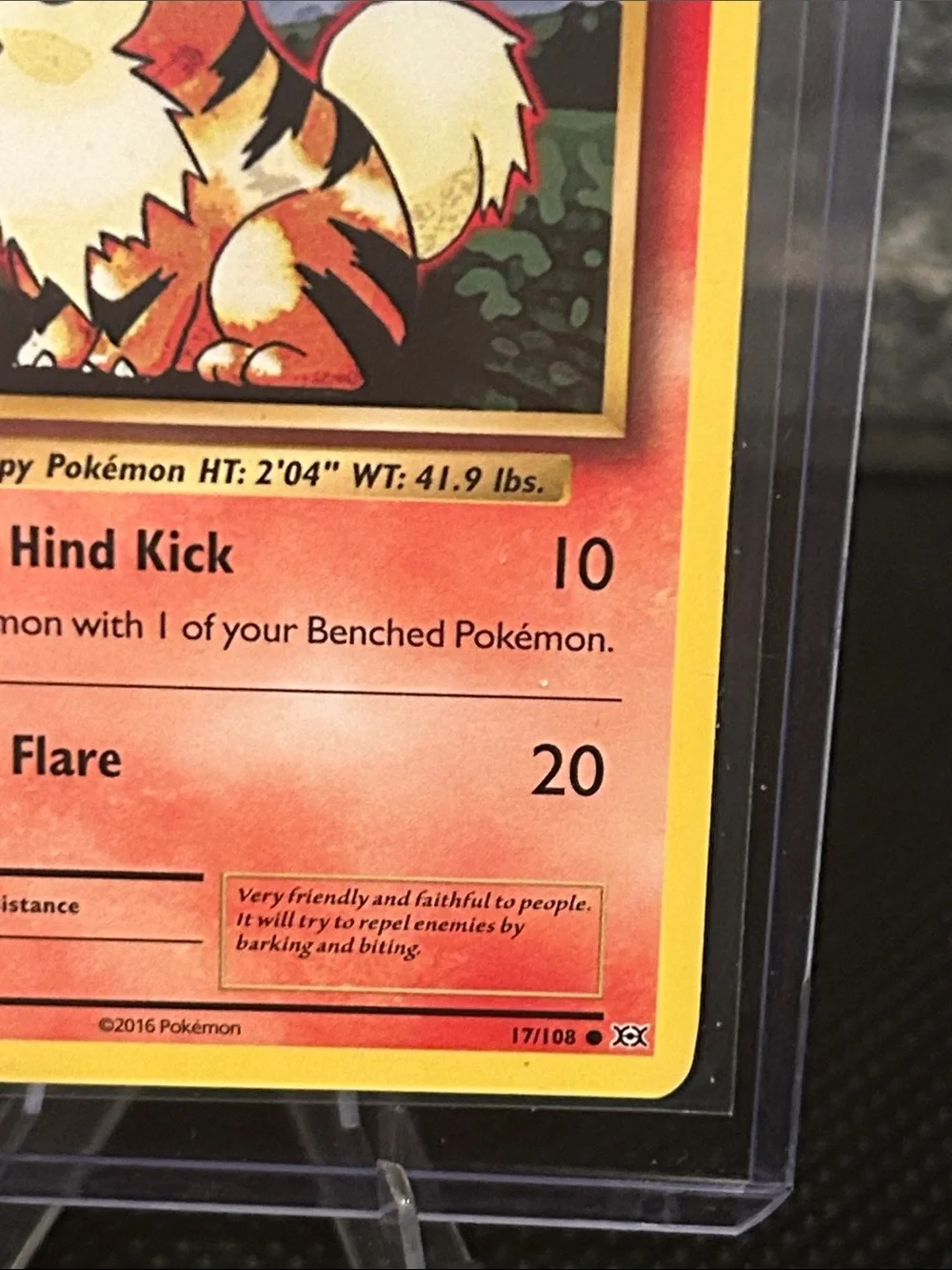 Pokémon Growlithe 17/108 Non-Holo from XY‎ Evolutions Set Vintage (2016) M/NM